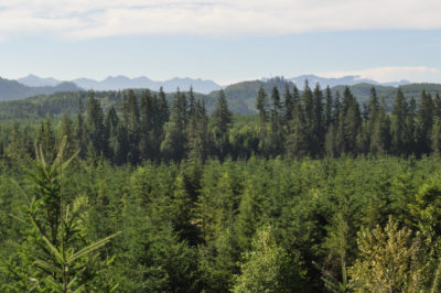 Northwest Biosolids nonprofit ecology